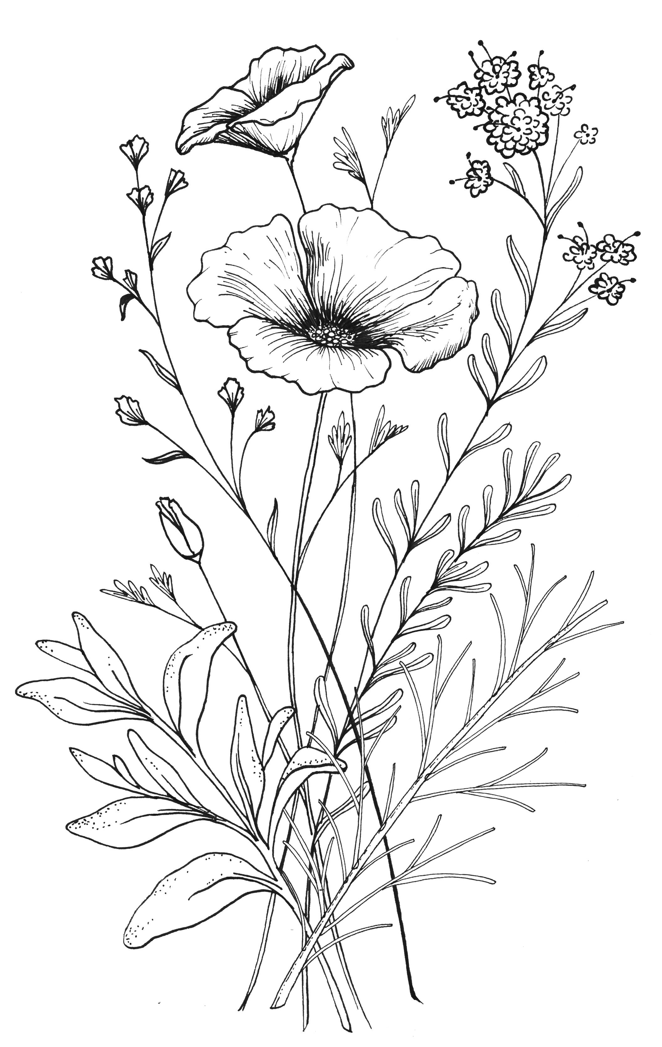 2113x3339 Custom Ca Wildflower Tattoo Design From Red Umbrella Designs - Red Flower Sketch