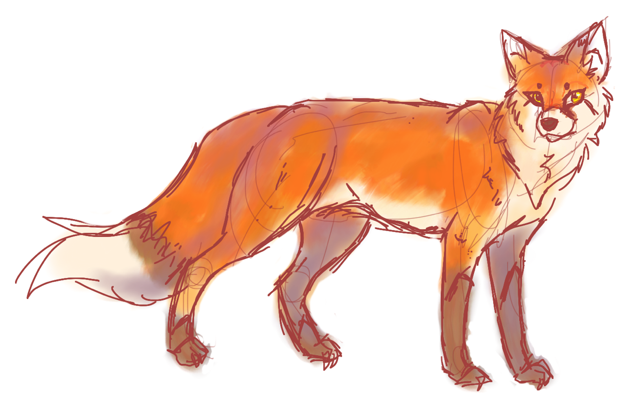 1280x805 Fox Sketch Weasyl - Red Fox Sketch
