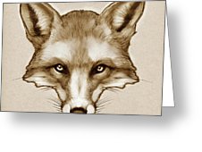 226x170 Red Fox Sketch Mixed Media By Catherine Noel - Red Fox Sketch