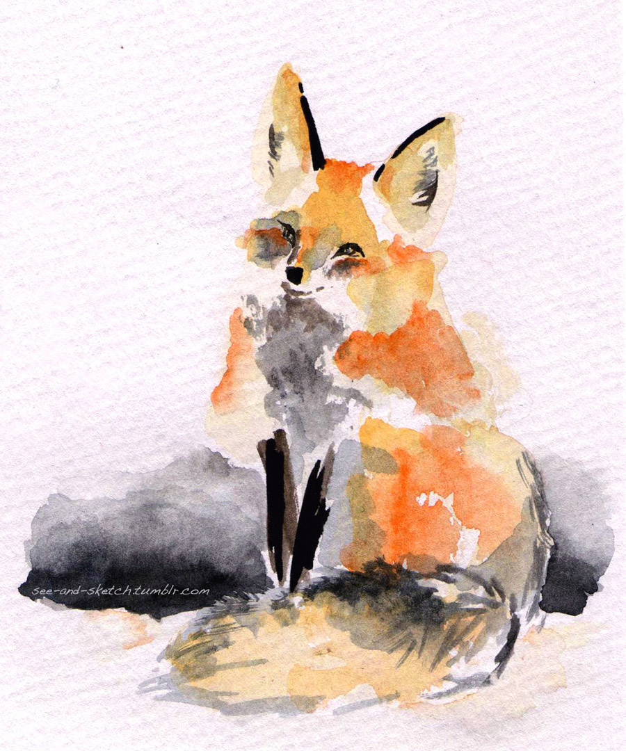 900x1080 See And Sketch Watercolour Red Fox - Red Fox Sketch