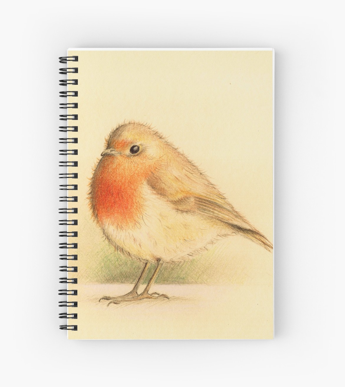 1171x1313 Red Robin Spiral Notebooks By Jogardinerart Redbubble - Red Robin Sketch