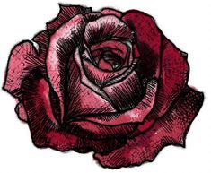 Red Rose Sketch At Paintingvalley Com Explore Collection Of Red Rose Sketch