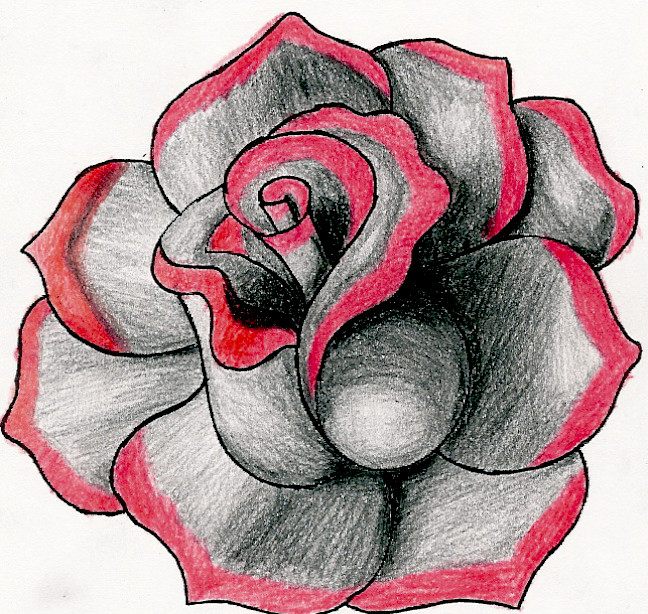 648x614 Red Rose Photo Drawing Drawing Skill - Red Rose Sketch