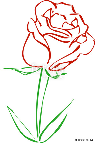 331x500 Red Rose Sketch Stock Image And Royalty Free Vector Files On - Red Rose Sketch