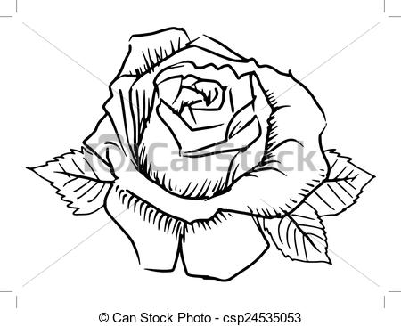 450x366 Red Rose. Hand Drawn, Sketch Illustration Of Rose. - Red Rose Sketch
