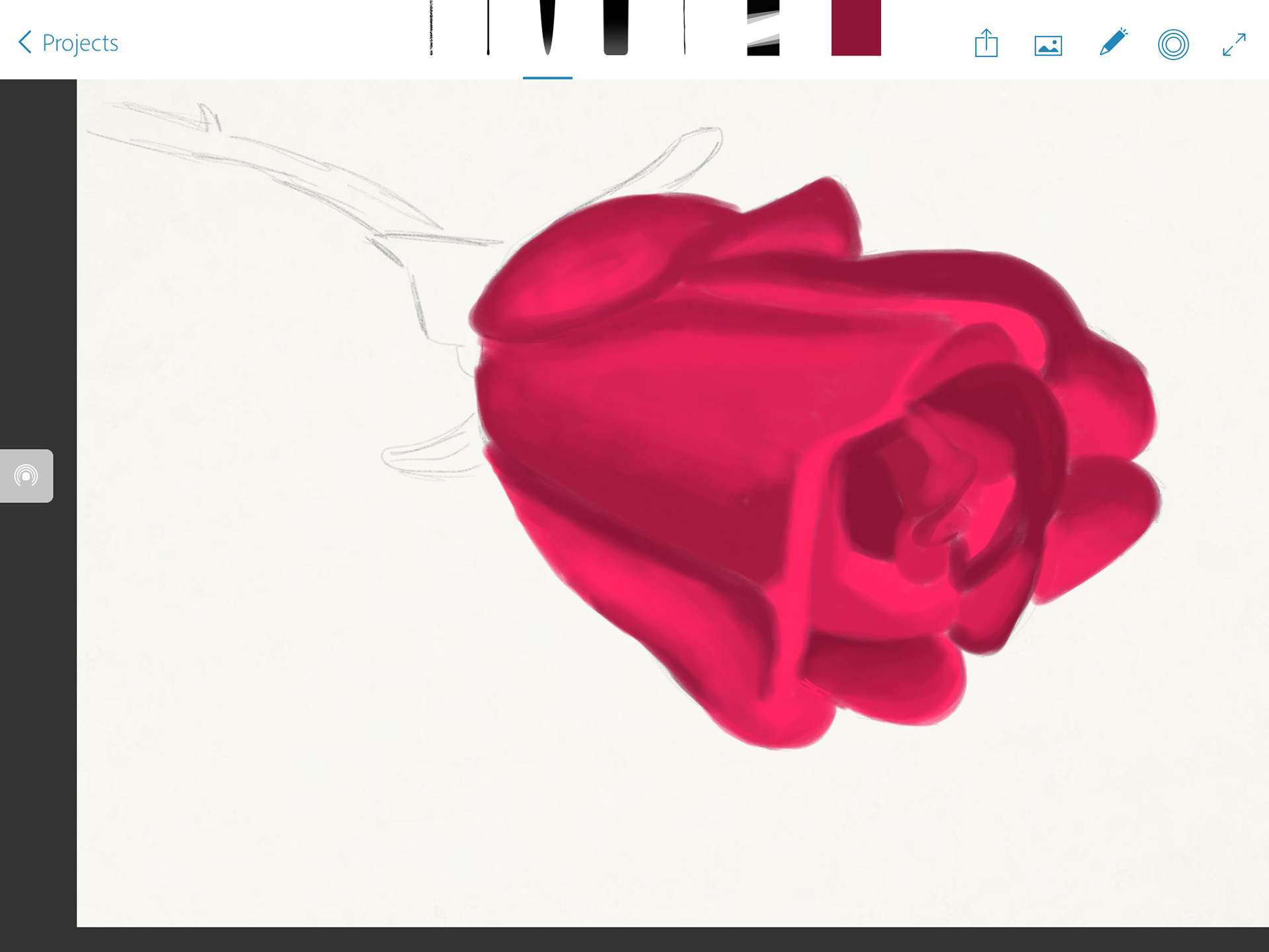1920x1440 Victoria Pavlov - Red Rose Sketch