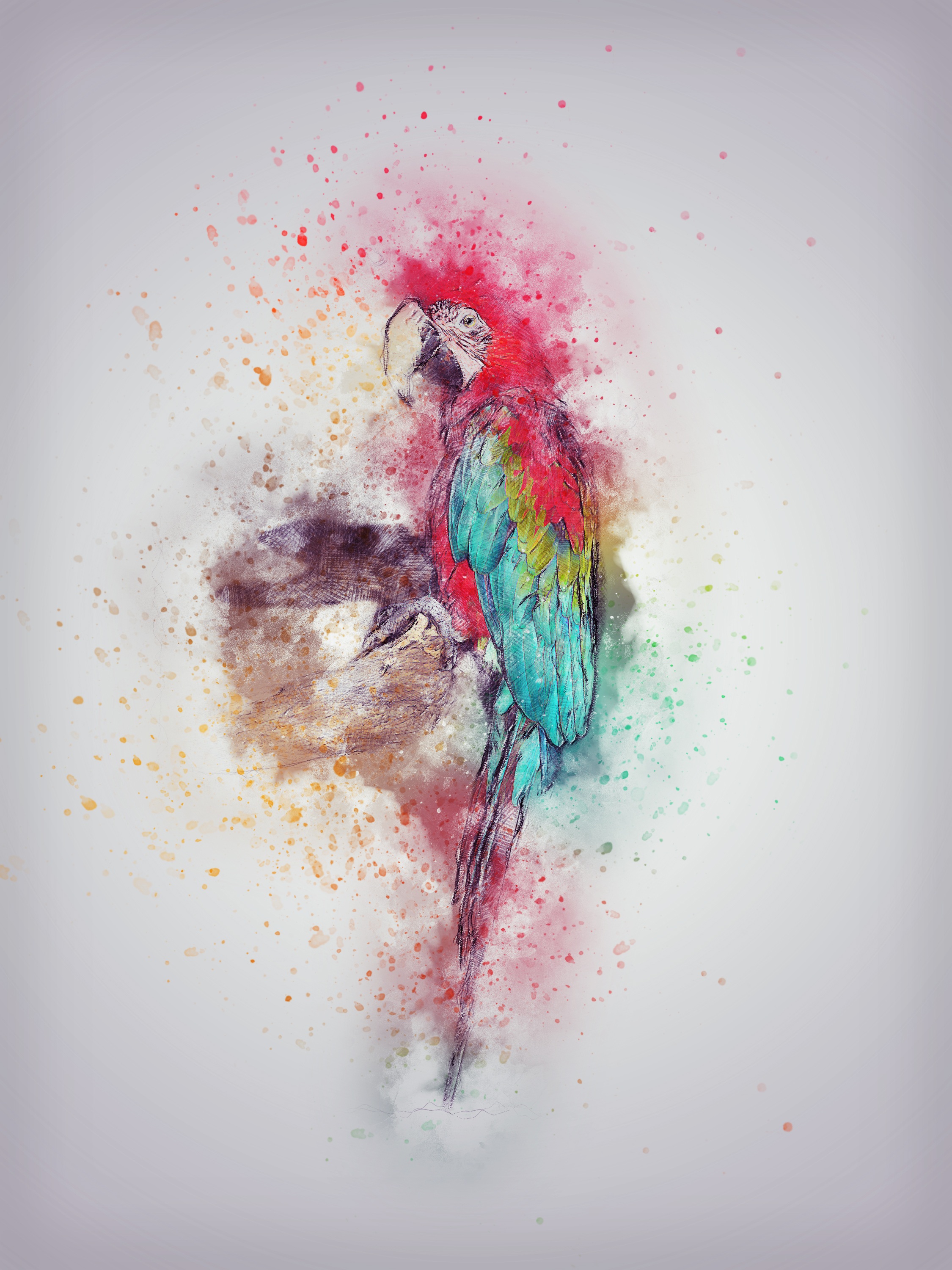 2250x3000 Free Images Bird, Abstract, Vintage, Red, Color, Artistic - Red Sketch