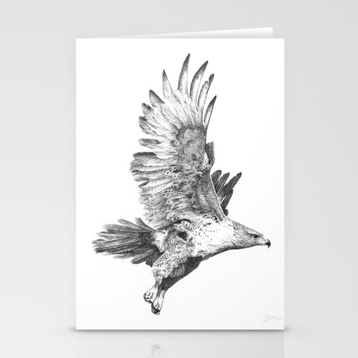 700x700 Red Tailed Hawk In Flight - Red Tailed Hawk Sketch
