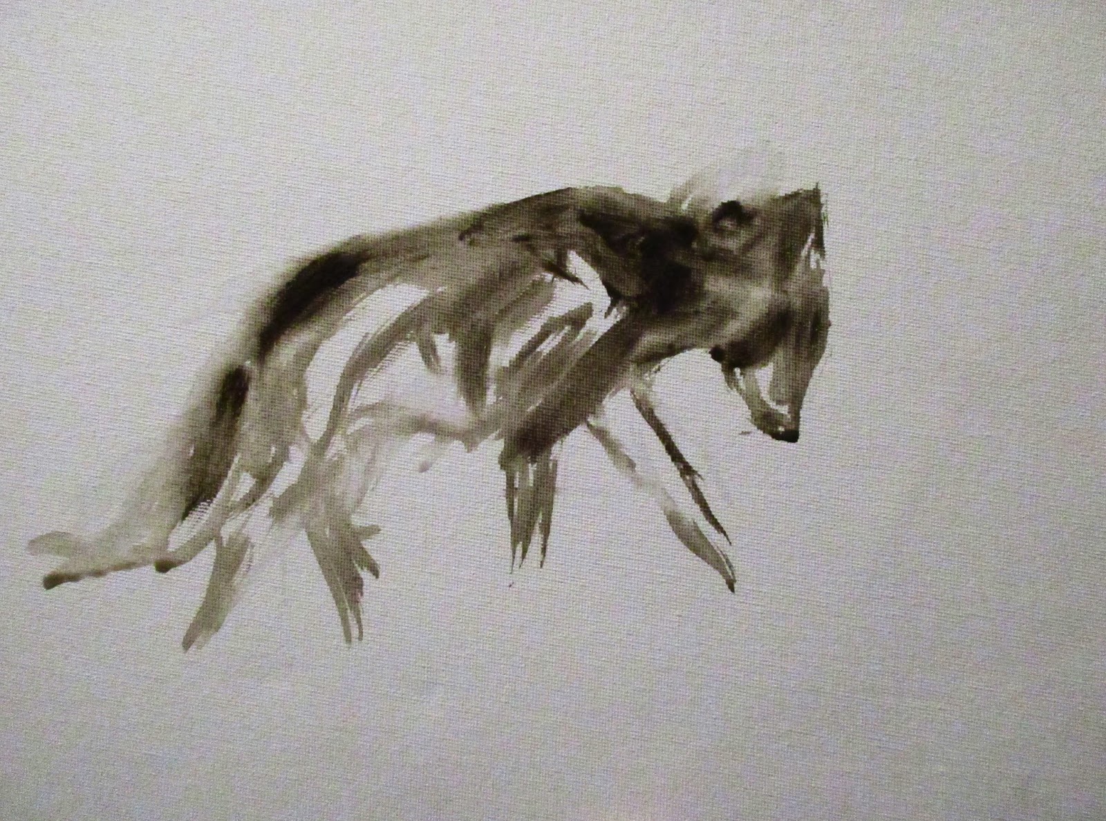 1600x1188 One Painting A Day Red Wolf Sketch - Red Wolf Sketch