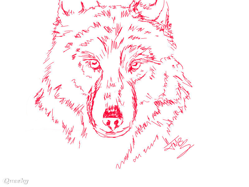800x600 Red Wolf An Animals Speedpaint Drawing By Jmbs77 - Red Wolf Sketch