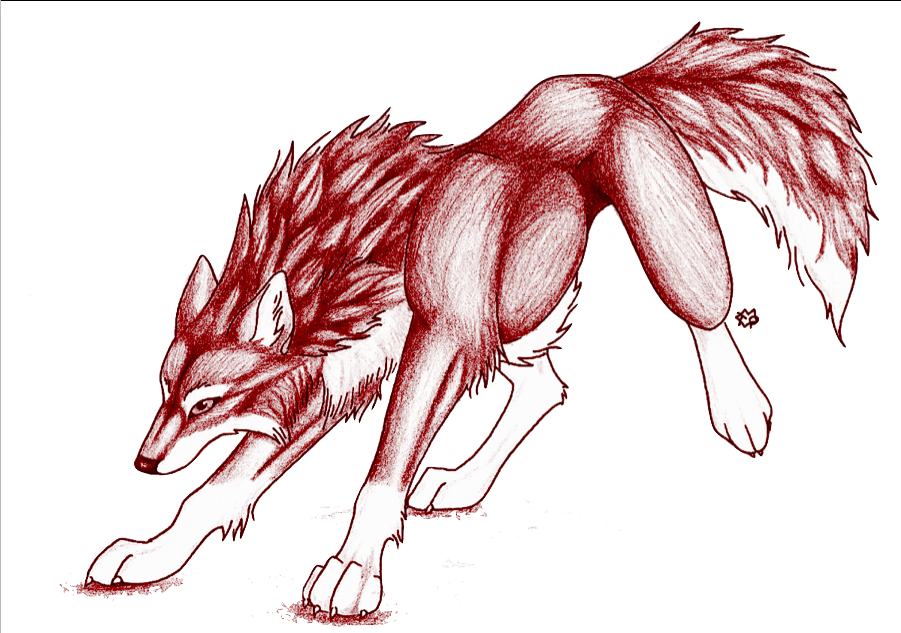 901x633 Red Wolf Edited On Comiclife Wtplc Animals - Red Wolf Sketch