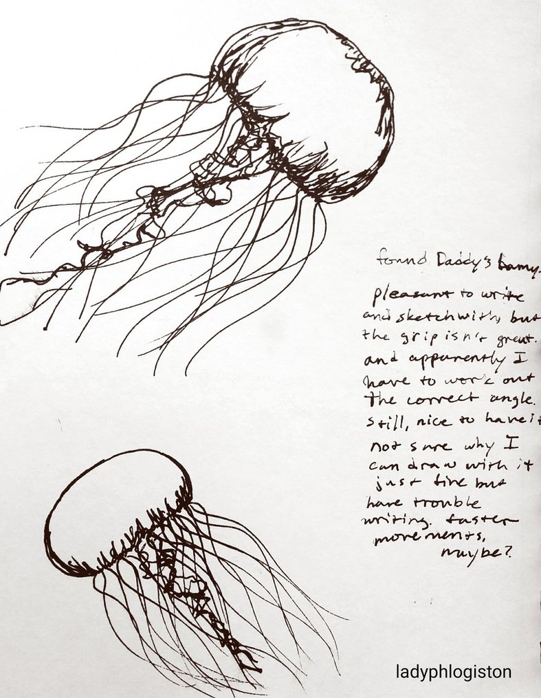 787x1016 Jellyfish (Reddit Daily Sketch) By Ladyphlogiston - Reddit Daily Sketch