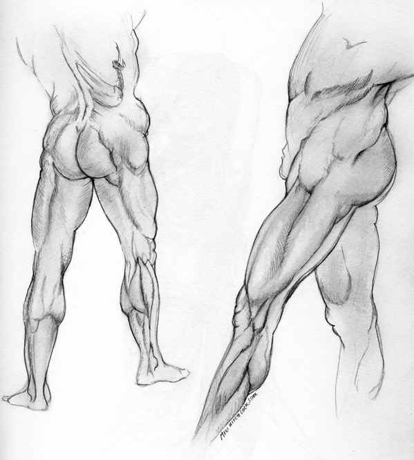 599x666 Reddit Sketch Daily Beautiful On The Inside Meli Hitchcock - Reddit Sketch Daily