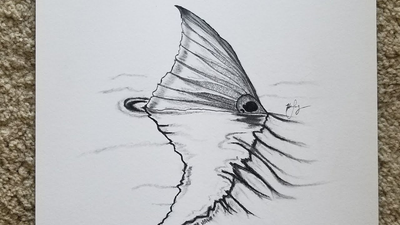 1280x720 How To Draw A Redfish Tail Speed Drawing - Redfish Sketch