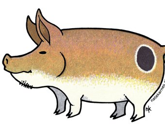 340x270 Redfish Drawing Etsy - Redfish Sketch