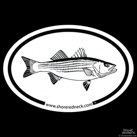458x458 Shore Redneck Striped Bass Sketch Oval - Redneck Sketch