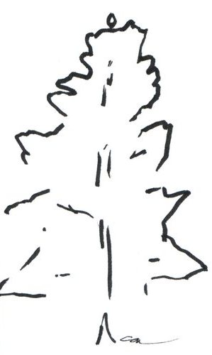 299x500 Sketch Of The Day ~ Scene From Peaceful Forest - Redwood Sketch