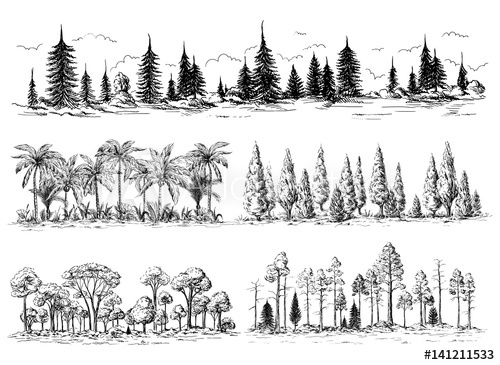500x365 Set Of Different Landscapes With Trees Forest Silhouettes With - Redwood Sketch