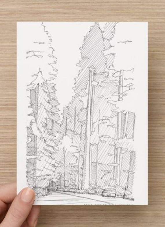 570x784 Ink Sketch Of Redwood Trees In Northern California Avenue Of Etsy - Redwood Tree Sketch
