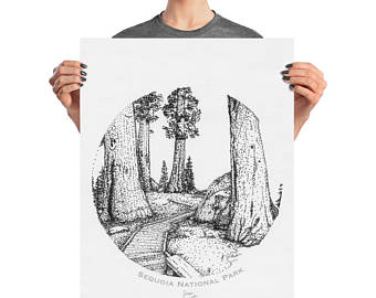 340x270 Redwood Tree Art Etsy - Redwood Tree Sketch