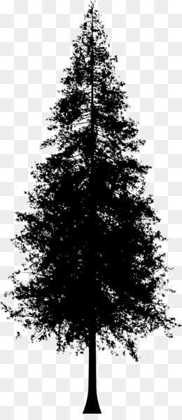 260x600 Redwoods Png Amp Redwoods Transparent Clipart Free Download - Redwood Tree Sketch