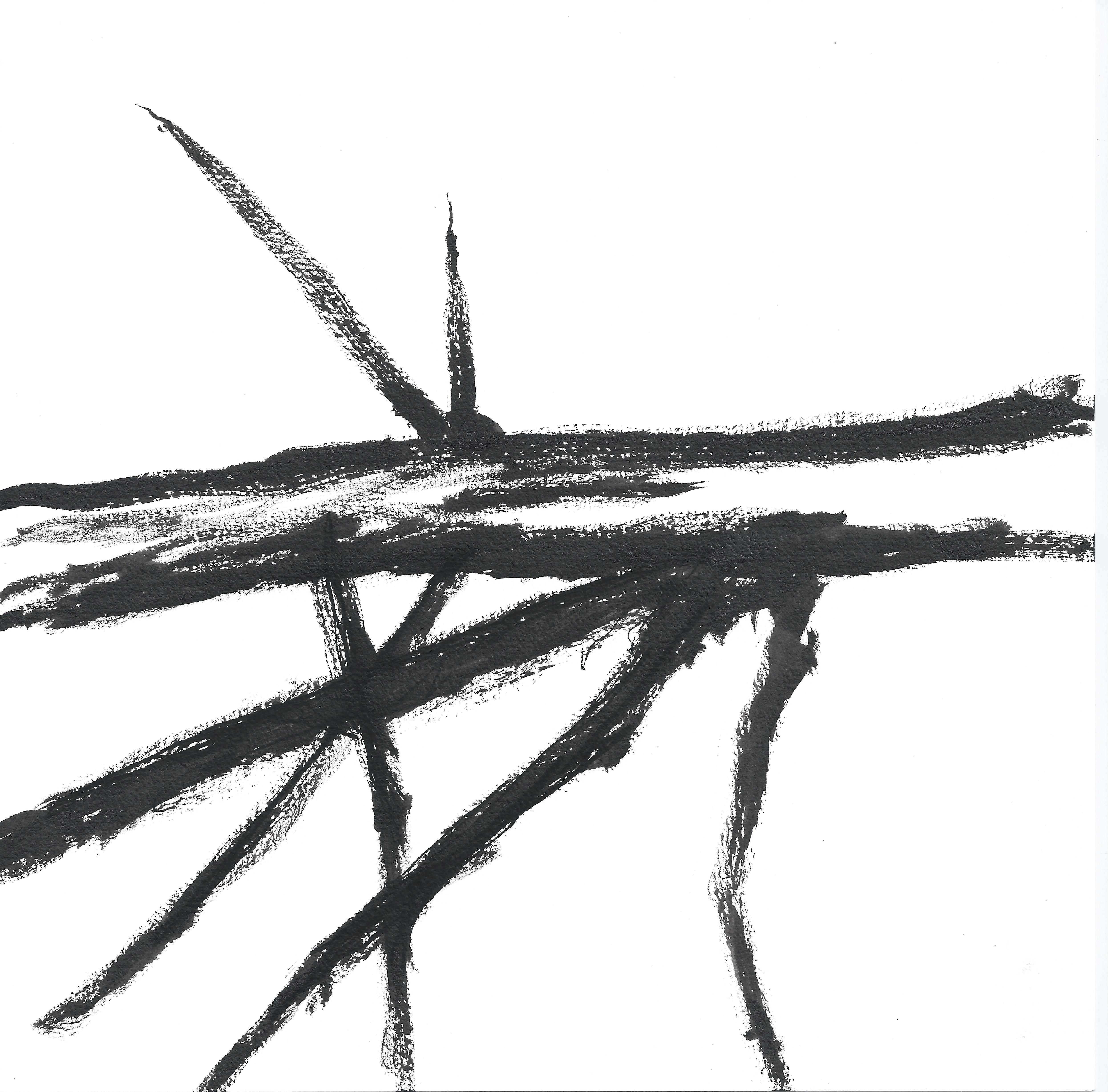 4980x4908 Baby Redwood Tree Ii Black Pen Art - Redwood Tree Sketch