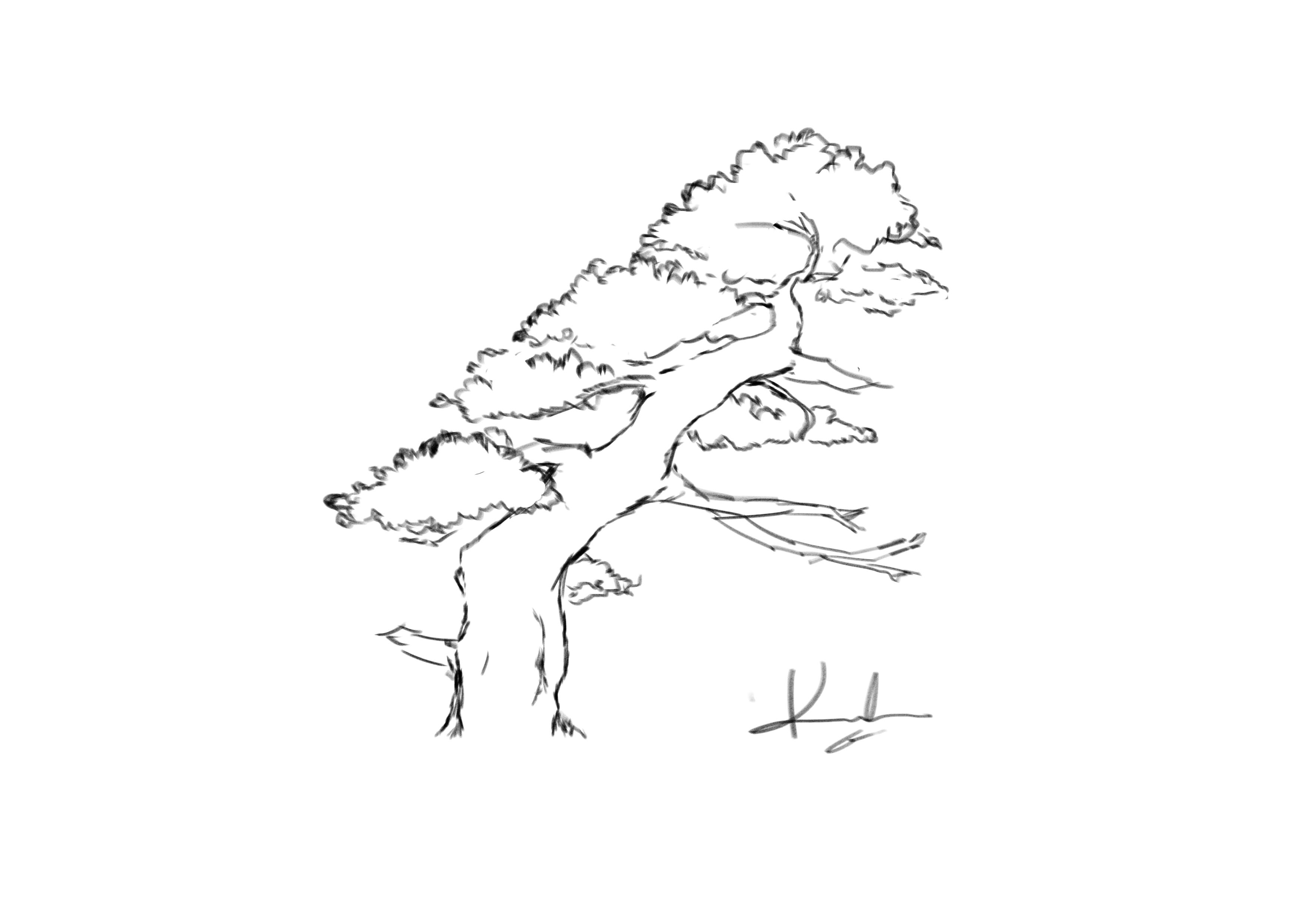 3508x2480 Picea The Tree Refinery - Refinery Sketch