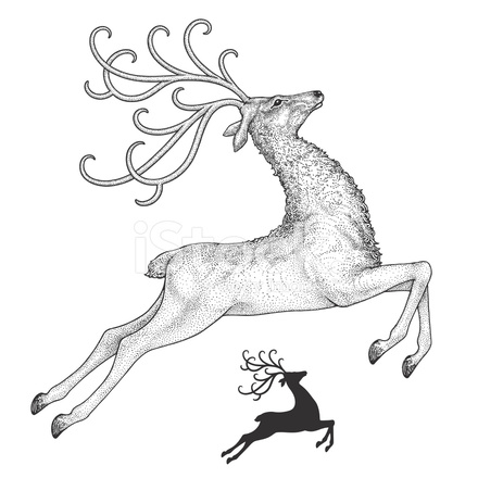 440x440 Reindeer Drawing Stock Vector - Reindeer Sketch
