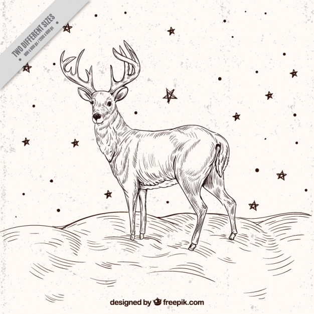 626x626 Reindeer Sketch Background With Stars Vector Free Download - Reindeer Sketch