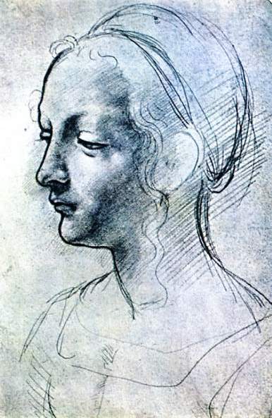 386x593 Da Vinci Drawings - Renaissance Sketches
