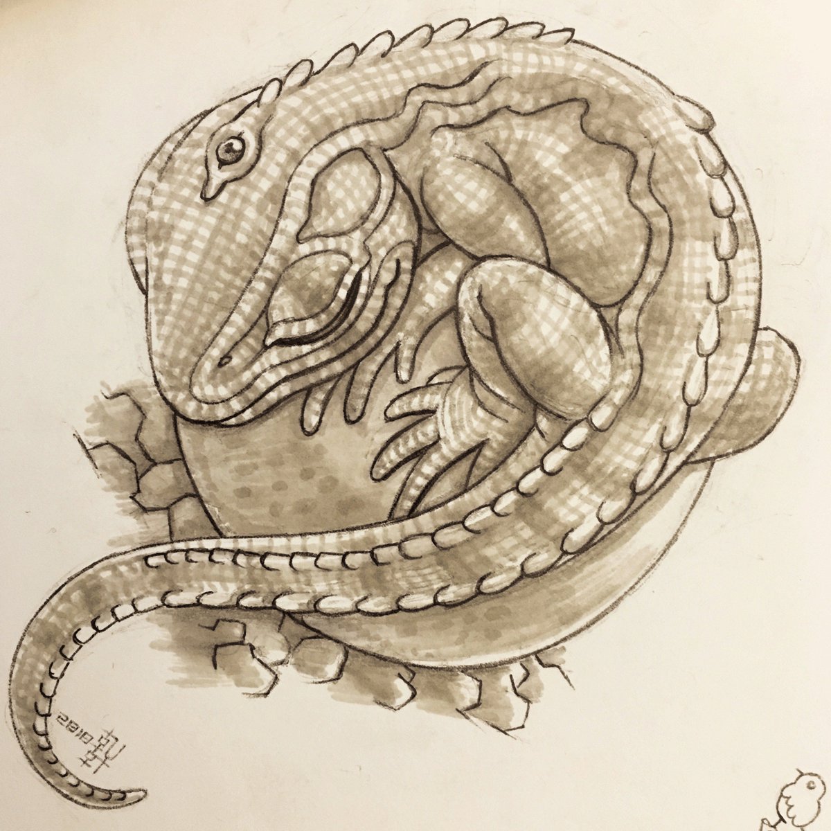 1200x1200 E Lynx Lin On Twitter Daily - Reptile Sketch