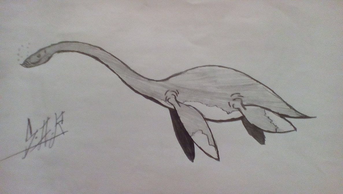 1187x673 Marine Reptile Sketch By Dkon5 - Reptile Sketch