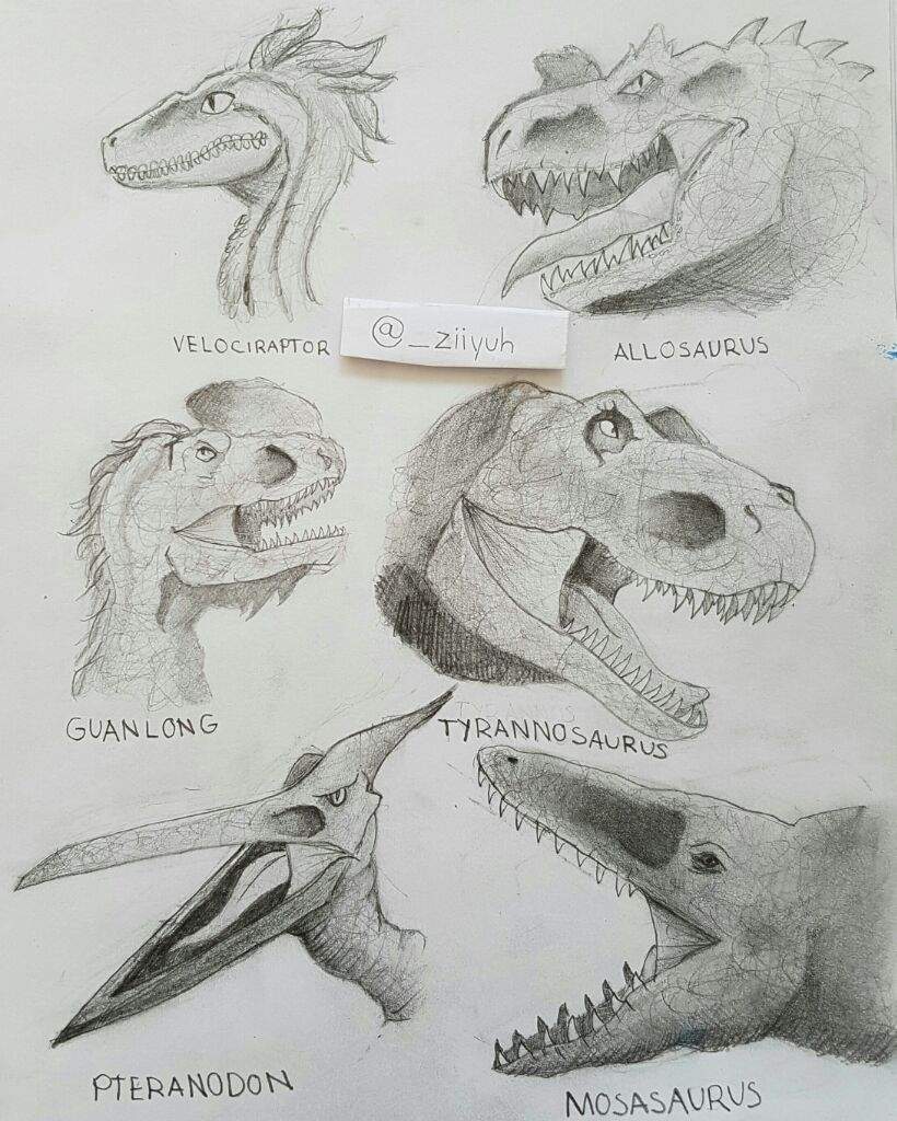 820x1024 My Carnivorous Dinosaurreptile Sketches! Jurassic Park Amino - Reptile Sketch