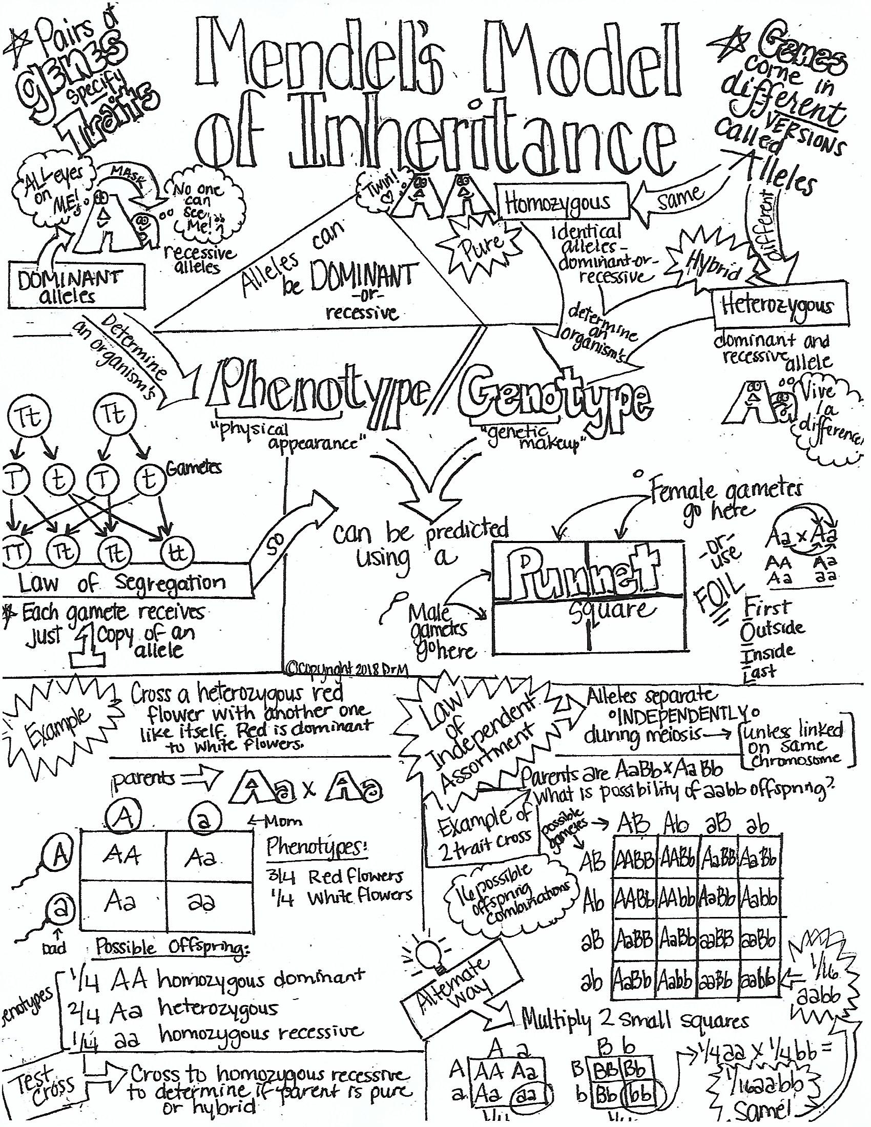 1700x2200 What Does The Research Say About Using Sketch Notes In The - Research Sketch
