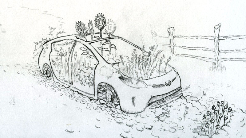 800x450 Portfolio - Revolution Sketch