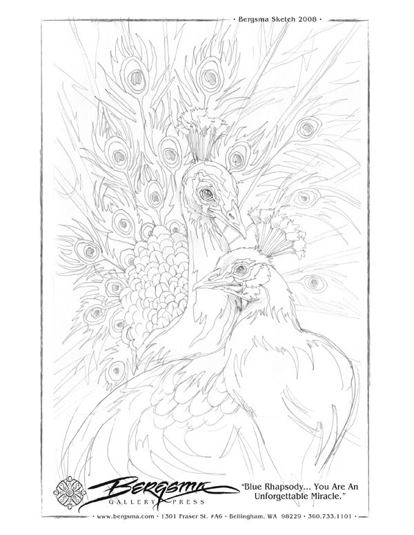 600x776 Blue Rhapsody Patterns Motifs Drawing - Rhapsody Sketch