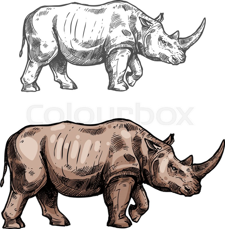 785x800 Rhinoceros Wild African Animal Vector Sketch Icon. Savanna Rhino - Rhino Sketch
