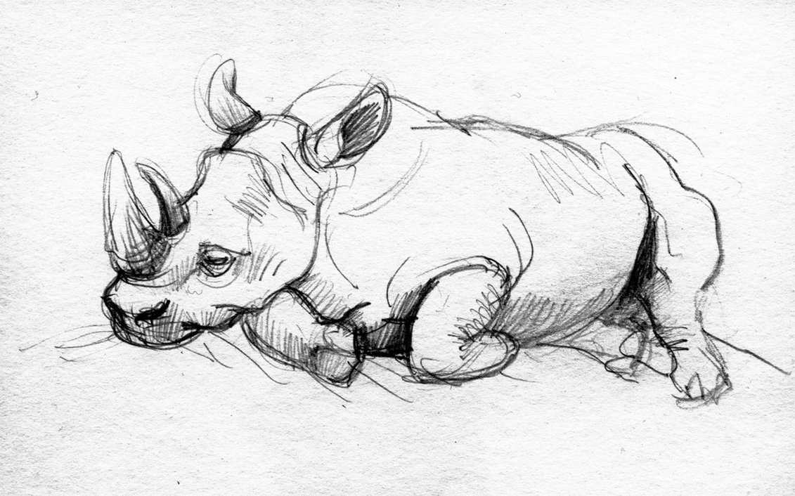 1131x706 Sketch - Rhino Sketch
