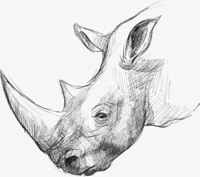 402x356 Vector Rhino, Rhinoceros, Animal, Sketch Png And Vector For Free - Rhino Sketch