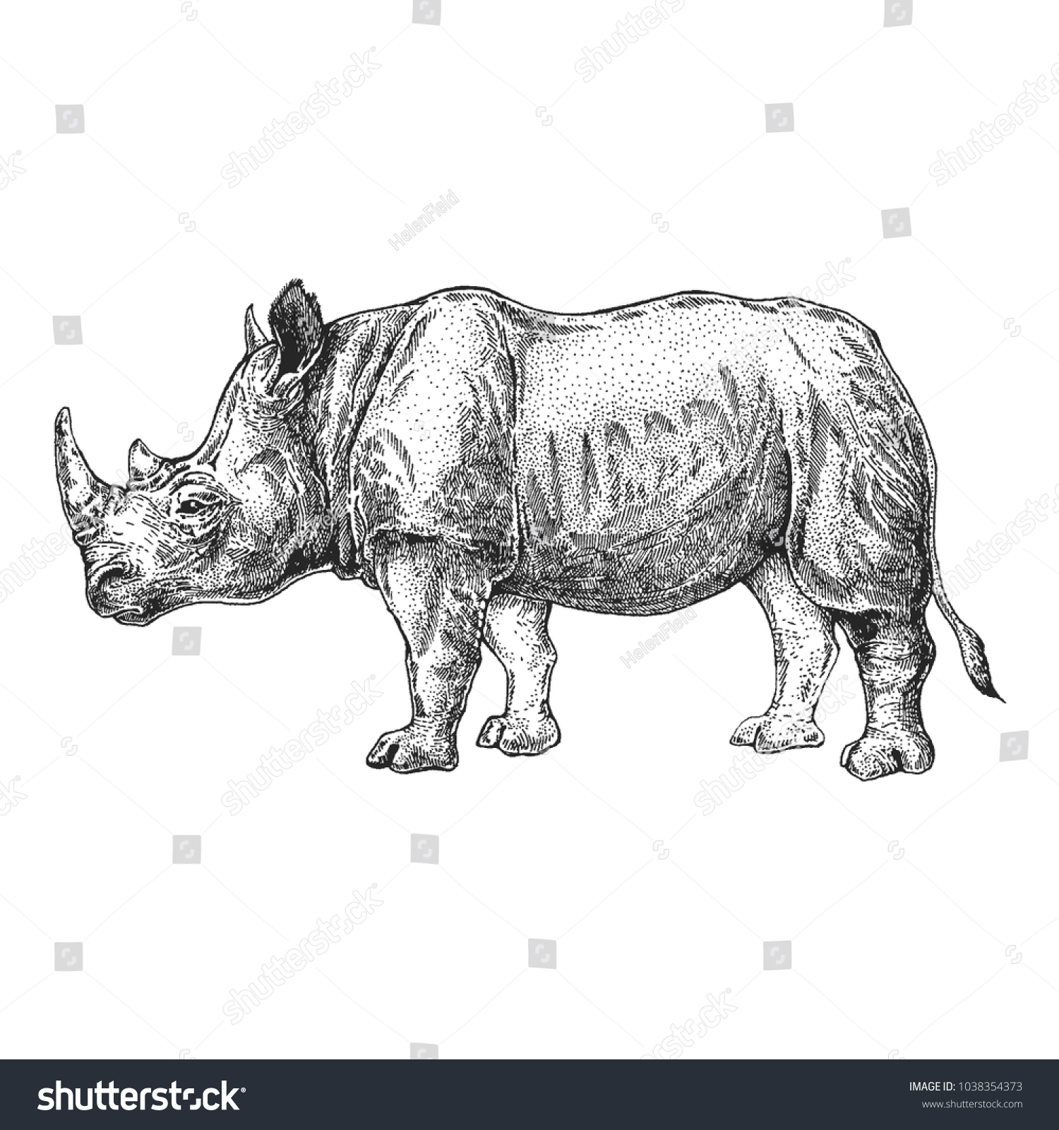Носорог графический рисунок