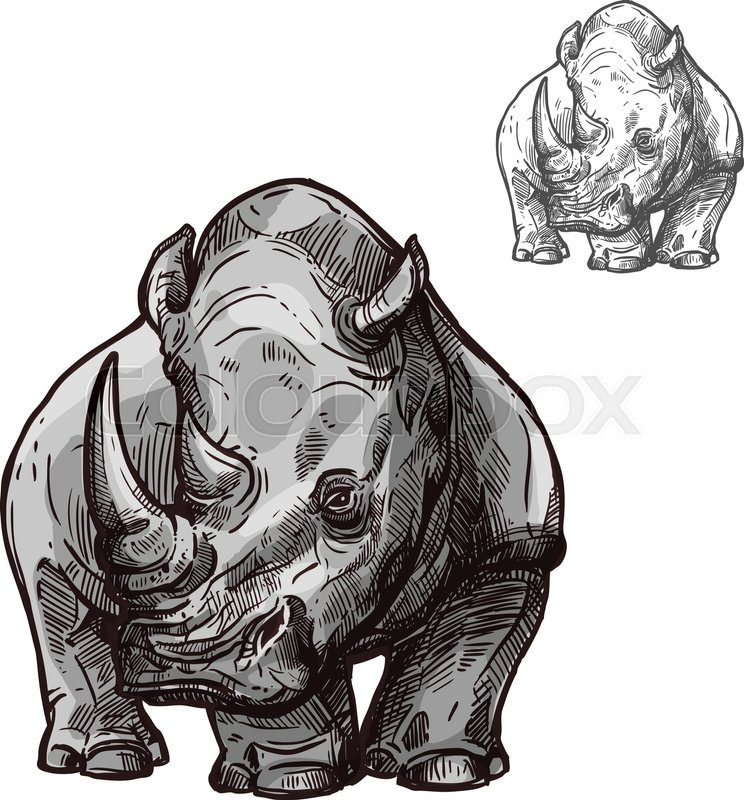744x800 Rhino African Animal Isolated Sketch. Black Rhinoceros Wild Mammal - Rhinoceros Sketch