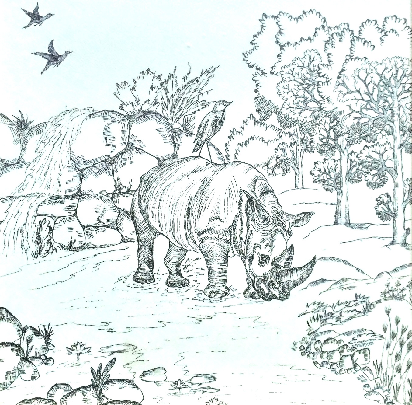 1355x1331 Rhinoceros - Rhinoceros Sketch