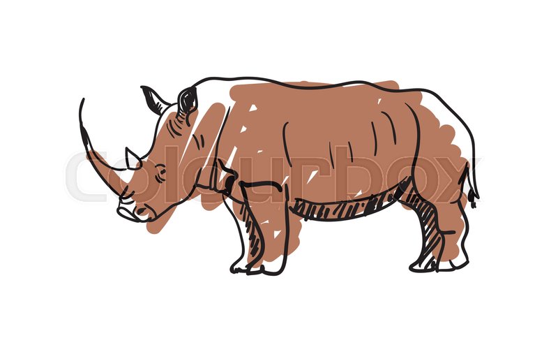 800x504 Rhinoceros Hand Drawn Icon Isolated On White Background Vector - Rhinoceros Sketch