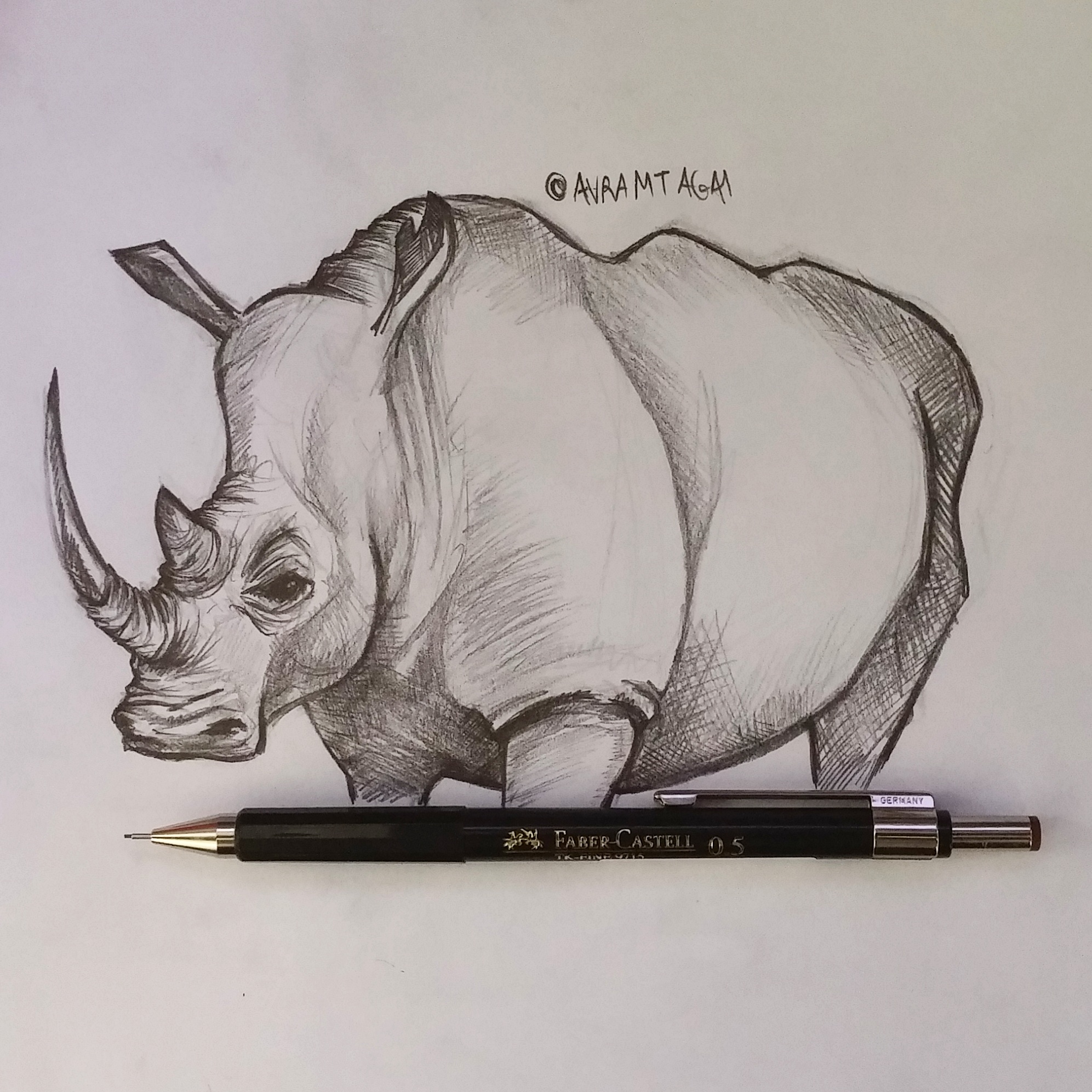1993x1993 Rhinoceros Study Sketch Drawing - Rhinoceros Sketch