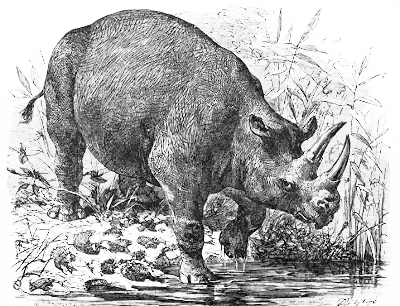 400x306 Blue Rhinoceros Sketch - Rhinoceros Sketch