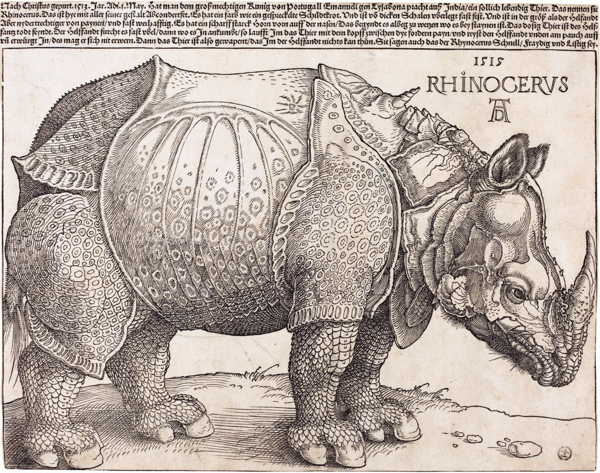 1200x947 Rhinoceros - Rhinoceros Sketch