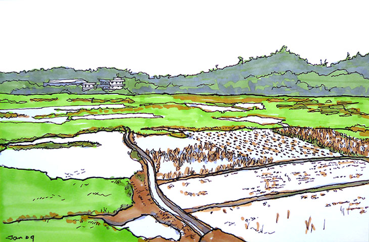 Rice Field Sketch at PaintingValley.com | Explore collection of Rice