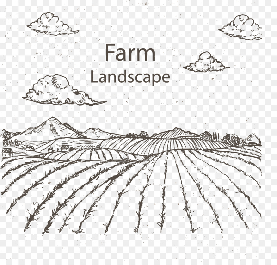 900x860 Drawing Agriculture Farm Sketch - Rice Field Sketch