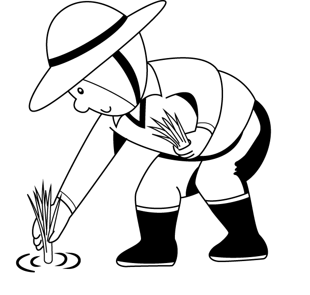 631x600 Rice Clipart Coloring Page - Rice Plant Sketch