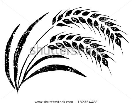 450x358 Collection Of Grain Of Rice Drawing High Quality, Free - Rice Plant Sketch